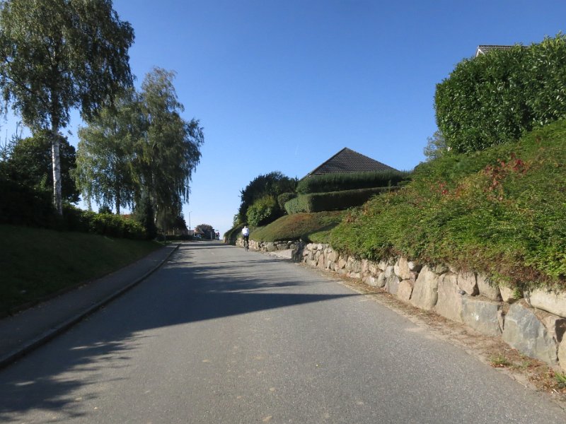RTF Almabtrieb 146